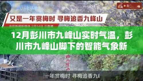 彭川市九峰山实时气温监测,智能气象新纪元引领生活新风尚