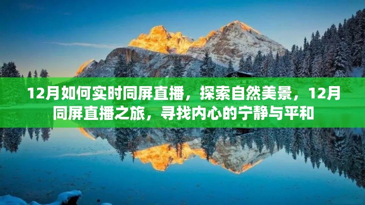 12月同屏直播之旅,探索自然美景,寻找内心的宁静与平和实时直播