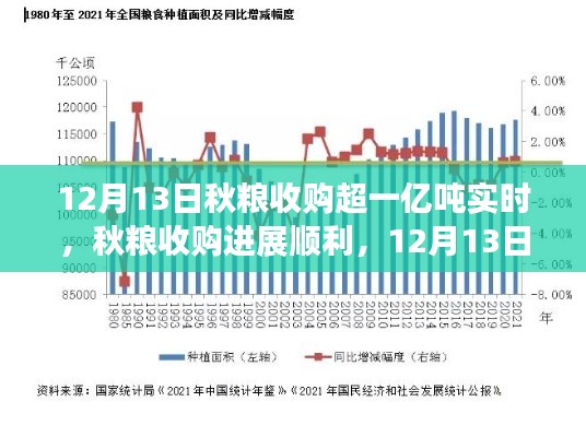 秋粮收购进展顺利,截至12月13日实时收购量超一亿吨的综合分析