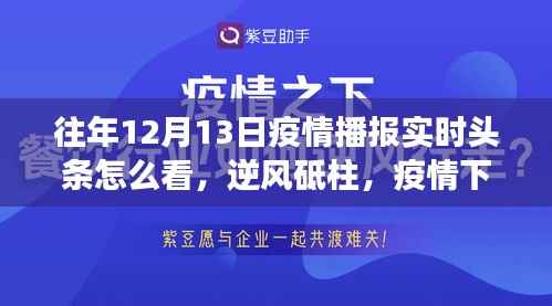 解读往年12月13日疫情播报实时头条,逆风砥柱的力量之源与励志成长之路