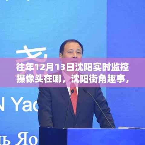 沈阳街角暖心日常与友情纽带,实时监控摄像头下的趣事与观察