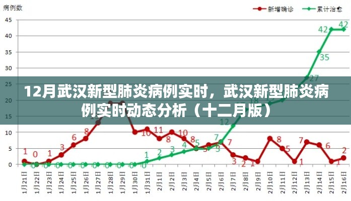 武汉新型肺炎病例实时动态分析(十二月版,最新实时数据与趋势分析)