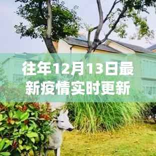 良渚疫情实时更新,科技助力重塑疫情防控新纪元