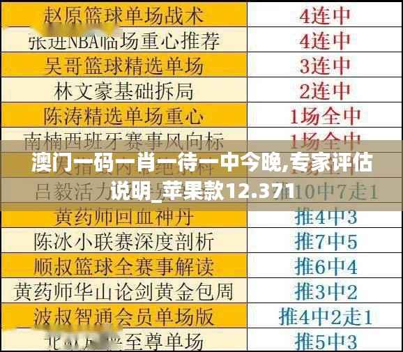 澳门一码一肖一待一中今晚,专家评估说明_苹果款12.371