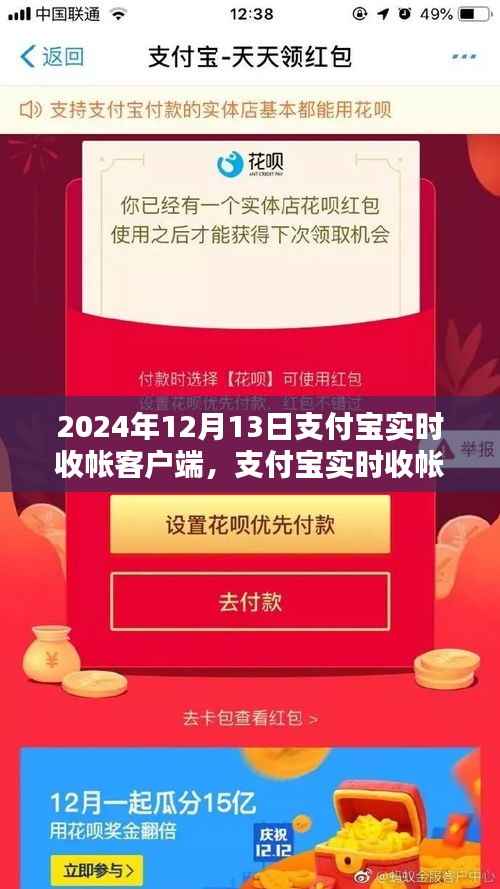 支付宝实时收款客户端使用指南,从初学者到进阶用户的全方位指南(2024年12月版)