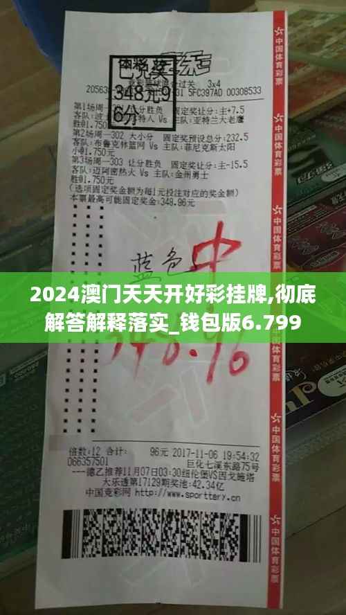 2024澳门天天开好彩挂牌,彻底解答解释落实_钱包版6.799