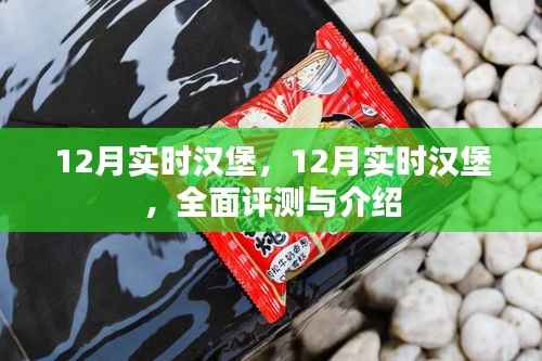 全面评测与介绍,12月实时汉堡