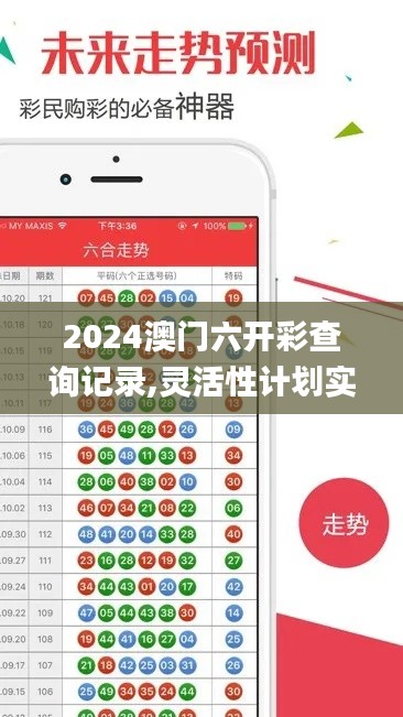 2024澳门六开彩查询记录,灵活性计划实施_WP8.642