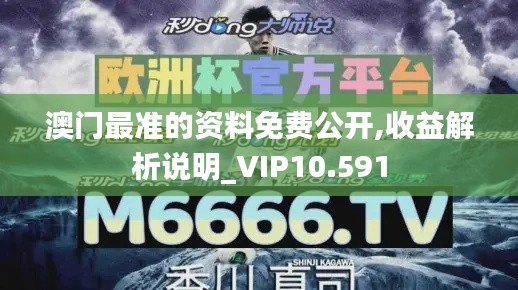澳门最准的资料免费公开,收益解析说明_VIP10.591