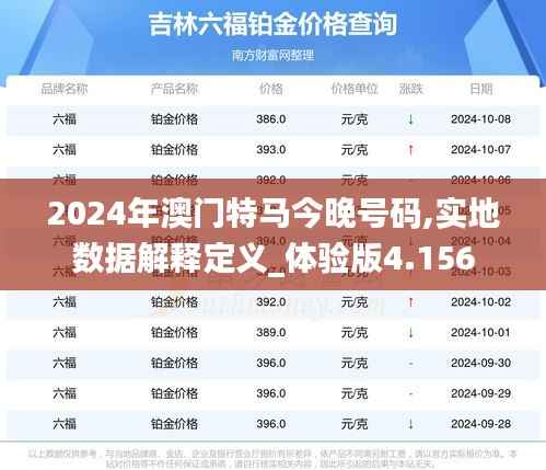 2024年澳门特马今晚号码,实地数据解释定义_体验版4.156