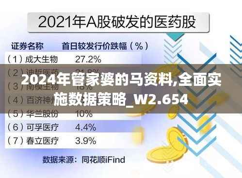 2024年管家婆的马资料,全面实施数据策略_W2.654