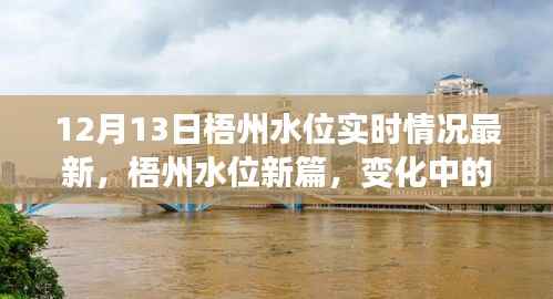 梧州水位实时更新,变化中的力量,学习与成就的自信之旅