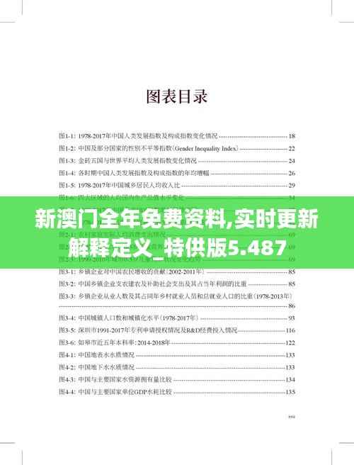 新澳门全年免费资料,实时更新解释定义_特供版5.487