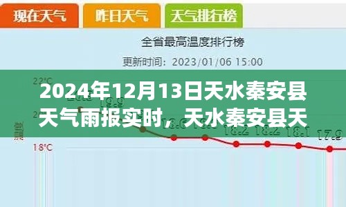 2024年12月13日天水秦安县降雨实时报告,雨情分析及其影响深度观察
