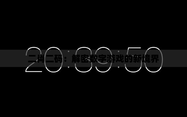 二肖二码:解密数字游戏的新境界