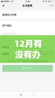 揭秘十二月电费实时查询方法与影响,背景及操作指南