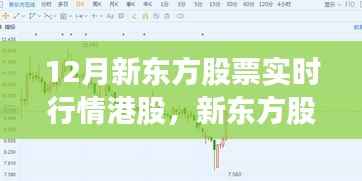 新东方股票实时行情港股评测与介绍,深度解析12月股市动态