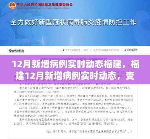 福建12月新增病例实时动态,变化中的学习之旅,铸就自信与成就感的征程