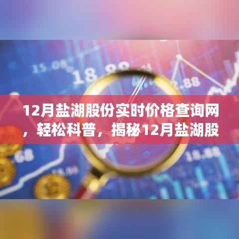 揭秘,如何轻松查询盐湖股份实时价格?十二月实时价格查询网科普指南