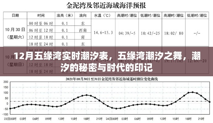 五缘湾潮汐秘密大揭秘,潮汐表实时更新,感受时代印记的舞蹈