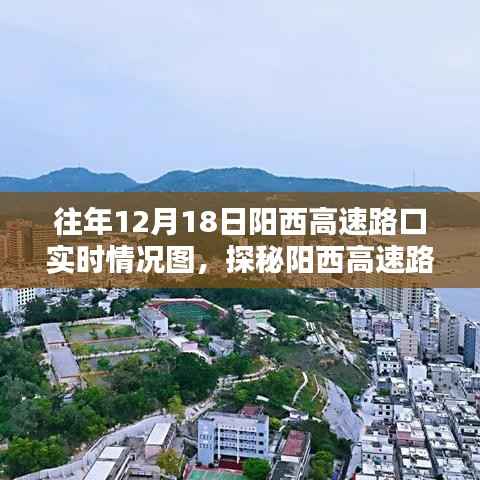 探秘阳西高速路口隐藏版特色小店,奇遇记与小巷深处的独特风味