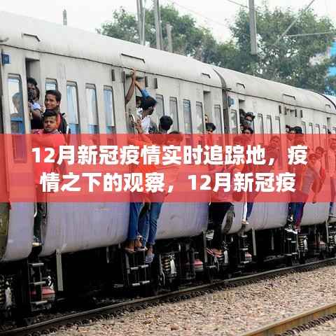 深度解析,12月新冠疫情实时追踪地,疫情之下的观察与追踪