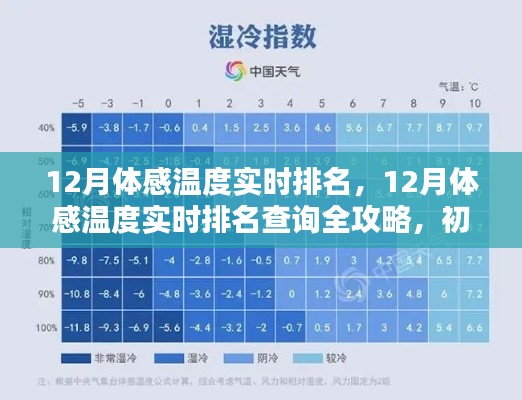 12月体感温度实时排名查询全攻略,从入门到精通的步骤指南