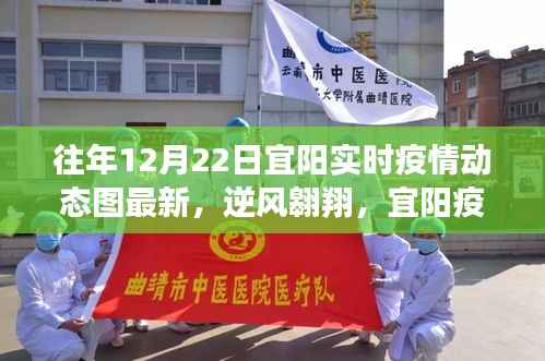 宜阳疫情动态更新,逆风翱翔下的学习与自信之旅