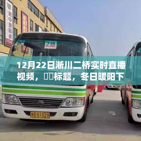 冬日淅川二桥之旅,追寻自然美景与内心宁静的直播之旅