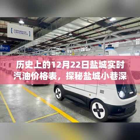 盐城实时汽油价格历史表,历史与现实的交融之旅,探秘小巷深处的汽油价格传奇