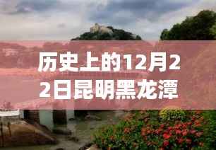 昆明黑龙潭公园的智慧与勇气,实时监控下的学习与梦想成就日