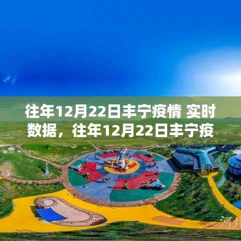 往年12月22日丰宁疫情实时数据查询指南,初学者与进阶用户适用步骤教程