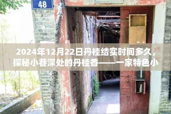 探秘小巷深处的丹桂香,丹桂结实时间与一家特色小店的隐藏时光