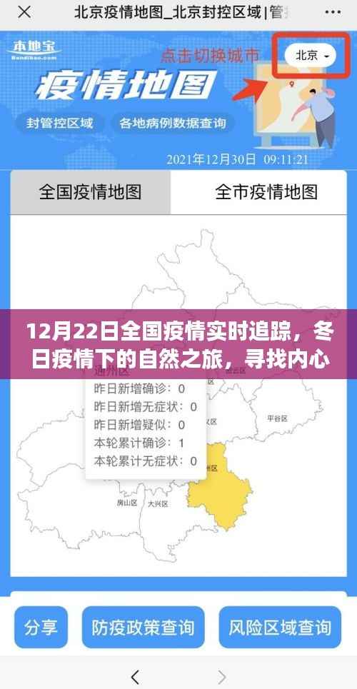 12月22日全国疫情实时追踪,冬日自然之旅中的内心宁静与平和寻找
