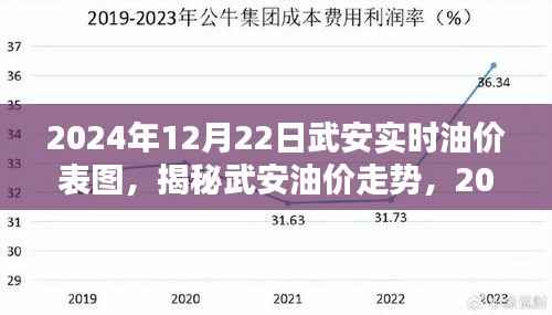 揭秘武安油价走势，最新油价表图与解析（2024年12月22日）
