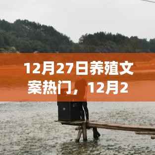 12月27日养殖文案精选，开启养殖之路，信心与成就感共创美好人生魔法