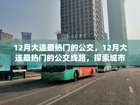 12月大连热门公交线路探索,城市脉动与公交魅力