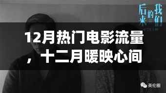 十二月热门电影流量，与朋友共享暖心电影时光