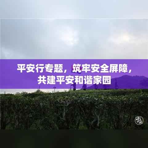 平安行专题,筑牢安全屏障,共建平安和谐家园
