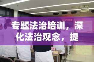 专题法治培训,深化法治观念,提升法治素养