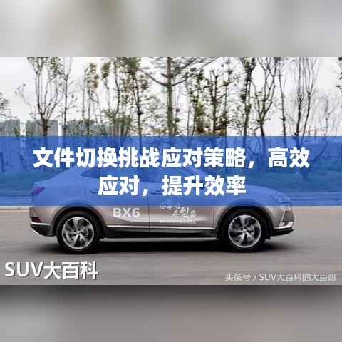 文件切换挑战应对策略,高效应对,提升效率