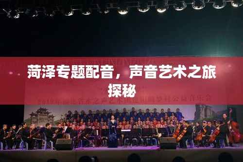 菏泽专题配音,声音艺术之旅探秘
