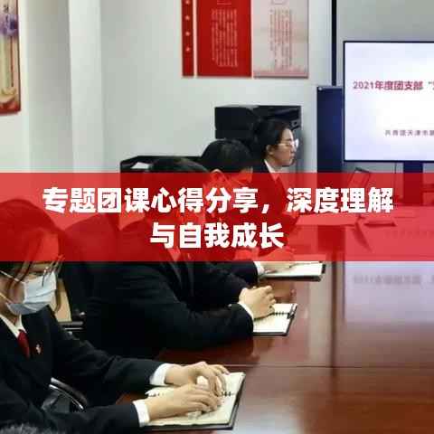 专题团课心得分享,深度理解与自我成长