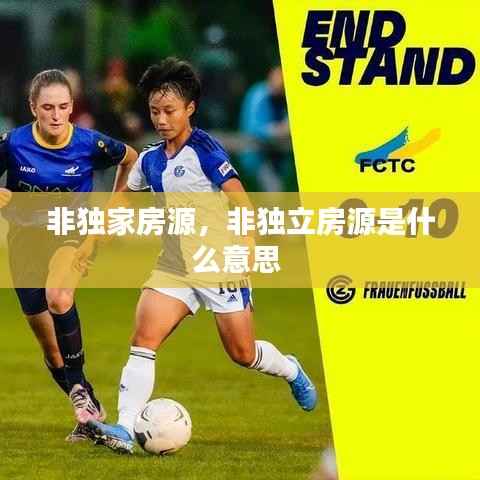 非独家房源，非独立房源是什么意思 