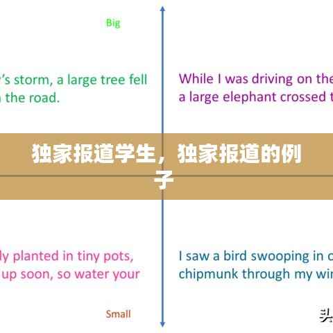 独家报道学生,独家报道的例子