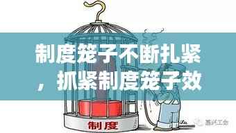 制度笼子不断扎紧，抓紧制度笼子效果如何 