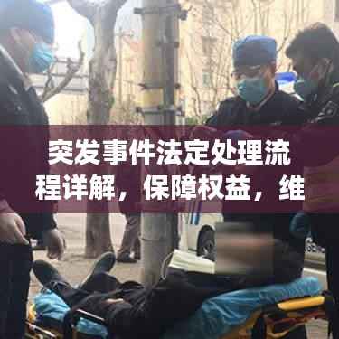 突发事件法定处理流程详解，保障权益，维护秩序的关键步骤