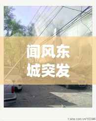 闻风东城突发,闻风东城突发疫情事件