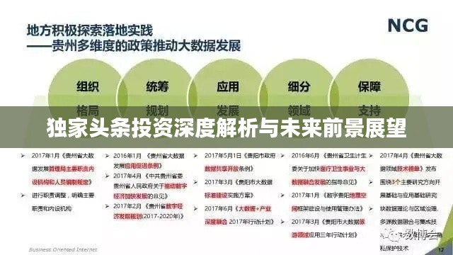 独家头条投资深度解析与未来前景展望