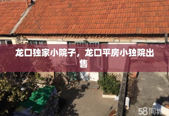 龙口独家小院子,龙口平房小独院出售